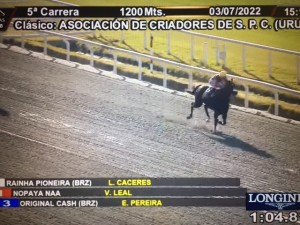 Rainha Pioneira 03.07 G3