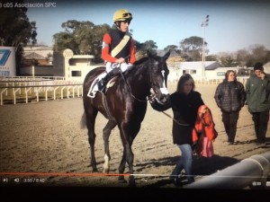 Rainha Pioneira 03.07 G3 paddock
