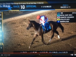 Royal Ship 30.07 paddock
