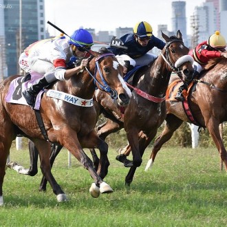 All Bets (Tiger Heart) vence em CJ para o Haras Free Way