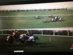 All Bets 27.08 chegada