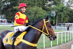Big Will 31.07 Borges