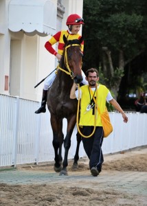 Big Will 31.07 paddock