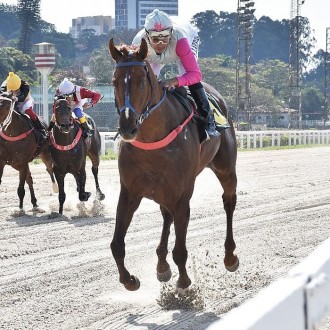 VIJAY volta a vencer Listed Race