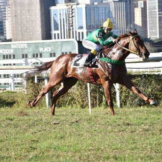 Winnetou (Courtier) vence em CJ e permanece invicto