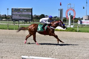 Air Speed 23.09