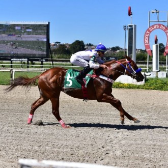 AIR SPEED (Tiger Heart) do Haras Free Way vence e convence no Tarumã