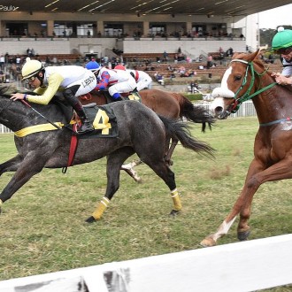 DEUSA vence a Copa Japão de Turfe (G3)