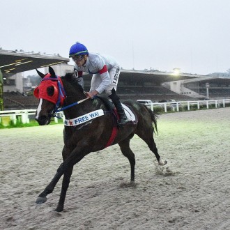 ALL MAGIC (Tiger Heart) vence aos esbarros em Cidade Jardim