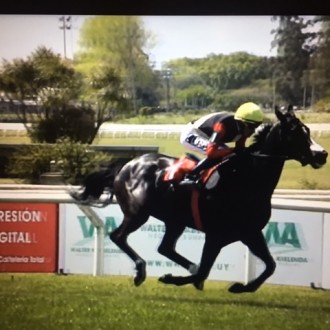 Rainha Pioneira vence 27ª carreira no Uruguai