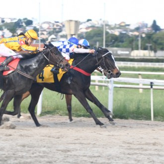 Winning Glory vence no Tarumã