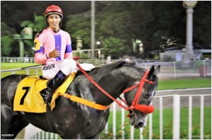 Efficson 22.11 paddock