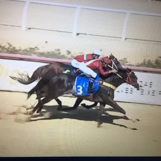 TEL vence no Cristal