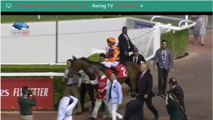 Upper Class 04.11 paddock