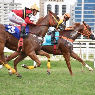 WHITE SHADOW vence a 2ª em Cidade Jardim