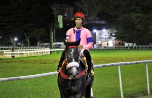 Efficson 12.12 paddock