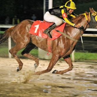Unique Experience vence sua 3ª carreira