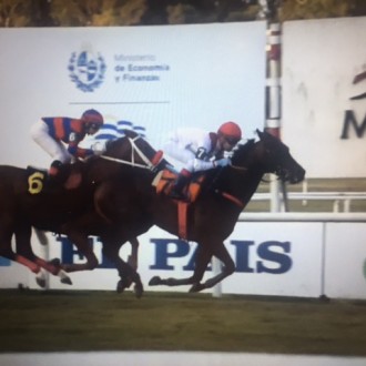 Gala Dinner (Courtier) vence a 5ª carreira em Maroñas no Handicap Especial Mascagni