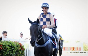 Power Up 16.01 paddock