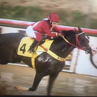 TEL vence a 5ª carreira