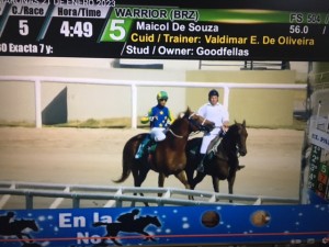 Warrior 21.01 pista