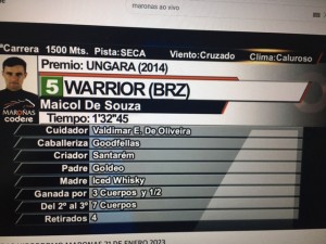 Warrior 21.01 placar