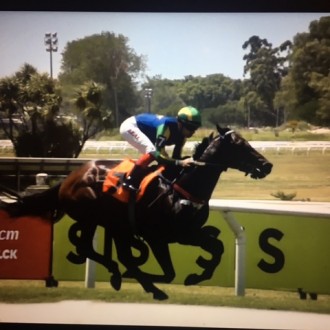 Wild Thing vence na grama de Maroñas com facilidade