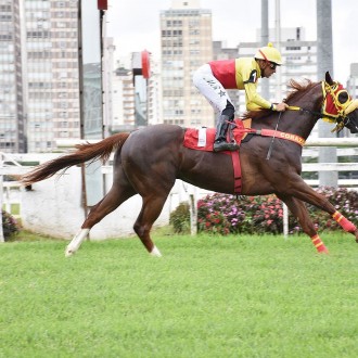 Symbolus vence a 7ª carreira e Xianggang One estréia com vitória