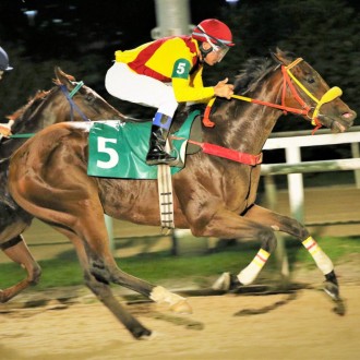 Pawel vence 3ª na Gávea aos 3 anos