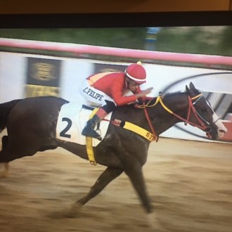 TEL vence a 6ª carreira no Cristal