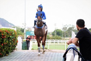 Zubin Mehta 31.01 paddock