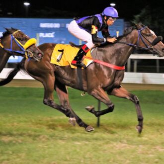 GIPSY SONG (Courtier) vence a 4ª carreira na Gávea