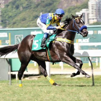KITTEN´S MOMENT vence Li.sted e lidera geração na Gávea