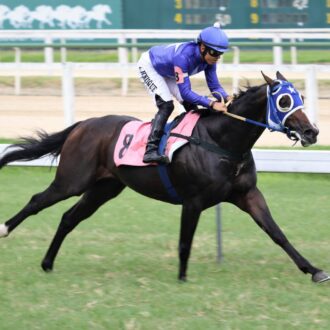 WINALOT (Courtier) vence na Gávea