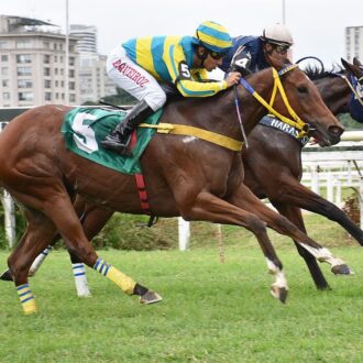 GOLDEN NUGGET vence a 3ª carreira em CJ