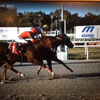 WARRIOR vence a 2ª carreira em Maroñas