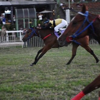 AIR SPEED (Tiger Heart) vence em CJ