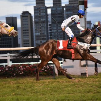 GESTO NOBRE (Courtier) e A BLOW (Tiger Heart) vencem em CJ