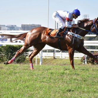 BEST STYLE e AIR SPEED vencem em CJ para o Haras Free Way