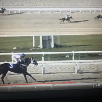 BILLIONAIRE e AT SPEED filhos de Tiger Heart vencem em CJ para o Haras Free Way