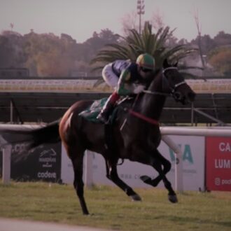 WILD THING volta a vencer em Maroñas