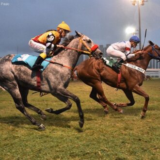 AT SPEED e AIR SPEED ambos por Tiger Heart do Haras Free Way vencem em Cidade Jardim