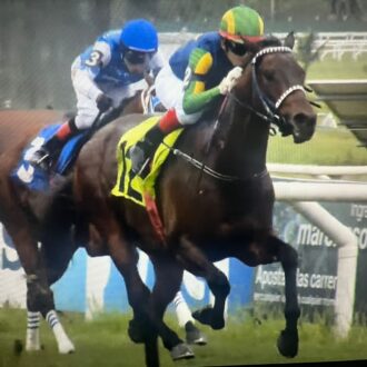 Wild Thing vence Handicap em Maroñas