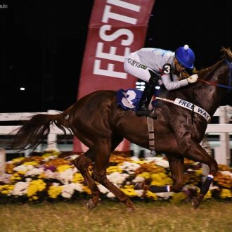BEST STYLE (Tiger Heart) volta a vencer em CJ