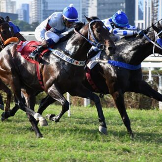 AGLOW WAY do Haras Free Way vence a 4ª em CJ