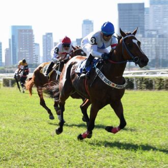 CHAMPION WAY (Courtier) do Hs Free Way vence em Cidade Jardim