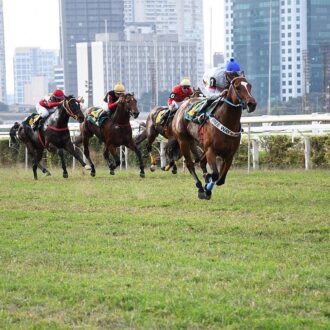 CHAMPION WAY (Courtier) vence com facilidade a Prova Especial Max Perlman