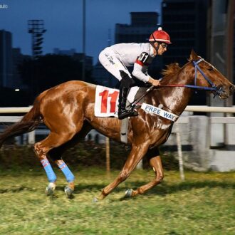 CRUELLA MENINA (Tiger Heart) estréia com vitória para o Haras Free Way que também faz a dupla