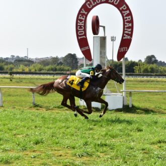 NAVIO FANTASMA vence o Clássico Sylvio Bertoli e permanece invicto em 3 carreiras