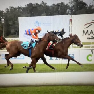 NEW LEADERSHIP (Courtier) vence em Maroñas